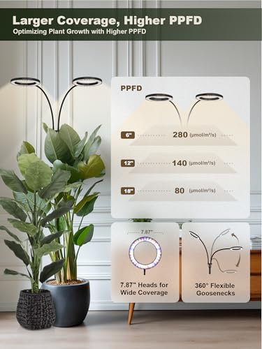 GLOWRIUM Tall Plant Grow Light for Indoor Plants, Full Spectrum Plant Light - color: Black (Dual Heads)