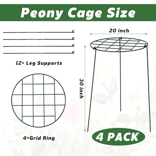 4 Pack Round Peony Cages and Supports, 20 x 30 Inches (D x H) - size: 20 x 30 Inches