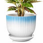 8 Inch Ceramic Plant Pot, Blue + White - color: Blue + White, size: 8 Inch(1 PCS)