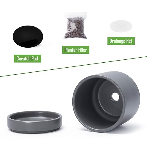 D'vine Dev 2-Pack Ceramic Pots & Saucers, Grey, 3.5/4.7 in, 94-G-XS-3 - color: Gray, size: X-Small