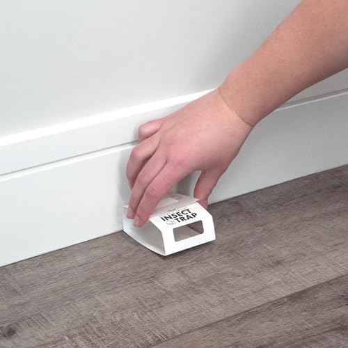 S&T INC. Insect Traps for Pest Control, 60 Pack - size: 60 Pack