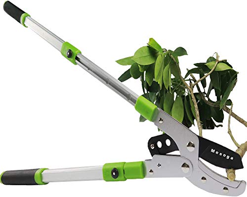 Bypass Lopper with Extendable, Anvil Lopper Heavy Duty, Tree Trimmer Telescopic 26-41 Inch, Garden Pruner 5 Sections Handle Adjustment, Branch Cutter with 2 Inch Cut Capacity
