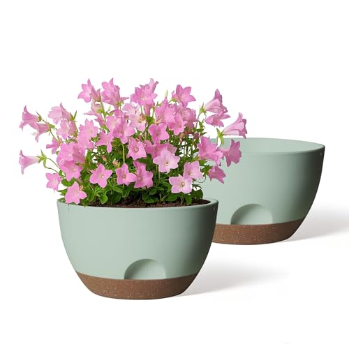 12 Inch Large Self Watering Pots, 2 Pack Plant Pots with Drainage Holes and Saucers, Self Watering Planter for Indoor Outdoor Garden Plants and Flowers (Green) - color: Green