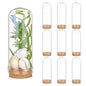 PH PandaHall 10pcs Glass Display Dome Cloche 20ml Bottles 1.1x2.8inch - size: 1.1 x 2.7 inches