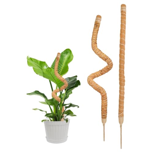 SYOWADA 2PCS 70cm Upgrade Adjustable Moss Poles for Indoor Plants