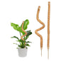 SYOWADA 2PCS 70cm Upgrade Adjustable Moss Poles for Indoor Plants