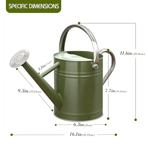 Metal Watering Can, 1 Gallon for Outdoor Garden Plants,EGreen - color: Emerald Green