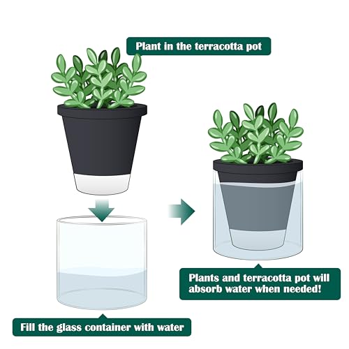 D'vine Dev Self-Watering Black Terracotta Planter, 4 in, 2-Pack, 37-Y-A-3 - color: Black, size: 4 Inch