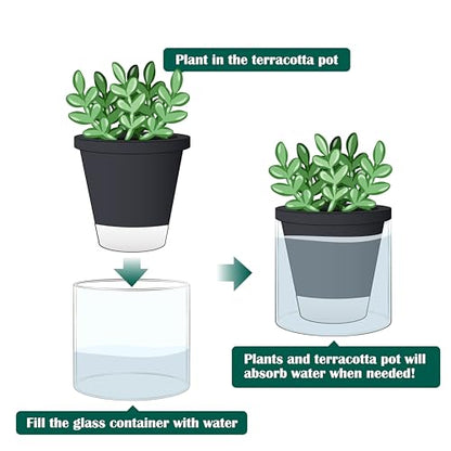 D'vine Dev Self-Watering Black Terracotta Planter, 4 in, 2-Pack, 37-Y-A-3 - color: Black, size: 4 Inch