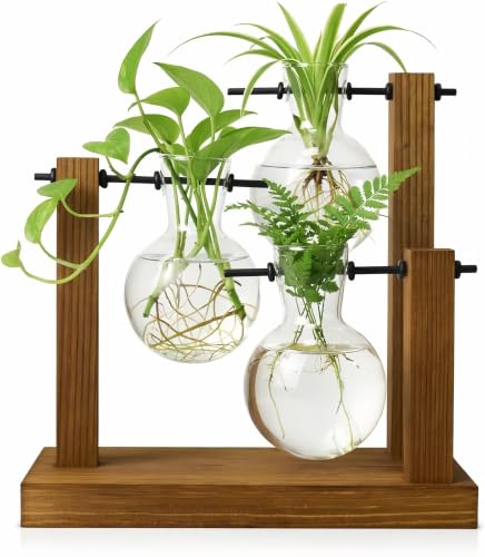 Plant Propagation Station, Wooden Stand with 3 Glass Vases