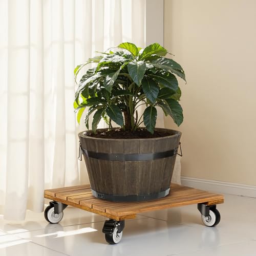 2pack Wood Plant Caddy With Wheels Heavy Duty, 264 Lbs Capacity, Upgraded 12 Inch Acacia Hardwood Plant Dolly, Plant Stand with 360° Lockable Wheels, Plant Caster for Heavy Objects Hauling - Natural Wood - color: Square Wood Golden Teak, size: 12 Inch