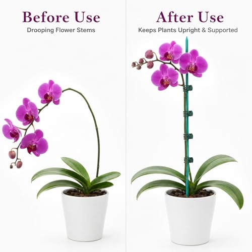 Jetec 110 Pcs 15 Inch Plant Support Kit for Small Orchids, Stakes, Clips