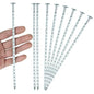 8 Inch Galvanized Spiral Landscape Spike Solid Metal Garden Stakes