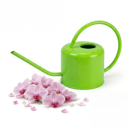 Plexon Long Spout Watering Can Indoor Plants, 40 oz Small Watering Can Pot Metal for Garden Flowers House Plants Mini, Powder Coated,Gift for Mom Girlfriend Daughter, Green - color: Green, 40 Oz
