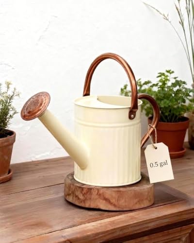 Bamworld Metal Watering Can for Indoor Outdoor Plant 1/2 Gallon Creamy - color: Creamy White
