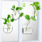 Baderke 4 Pcs Wall Hanging Planter Wall Window Propagation Station Hanging Planter Glass Terrarium Container Plant Propagation Station Vase for Garden Office Decor(Geometric)