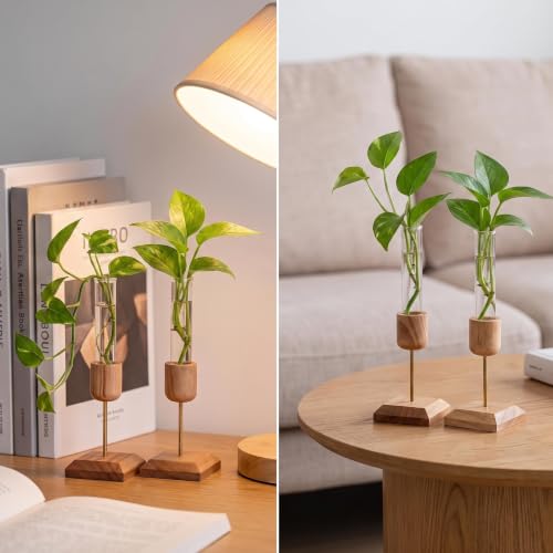 2Pcs Plant Propagation Vases with Wooden Stand