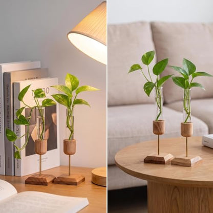 2Pcs Plant Propagation Vases with Wooden Stand