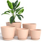 Plant Pots Indoor with Drainage, 5 Pack Multi-Size Planters Set, Pink - color: Peach Pink, size: Pack of 5