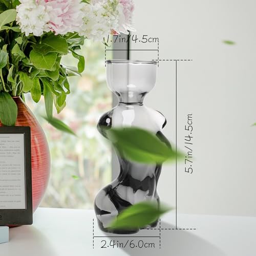 Plant Propagation Jars Unique Body Avocado Vase - color: Gray