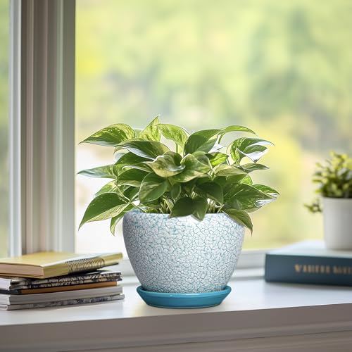 Ceramic Plant Pot, 6 Inch Indoor Planters, Crackle Blue - color: Crackle Blue, size: 6 Inch