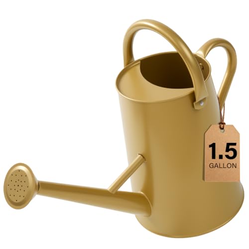 Gold Watering Can for Outdoor&Indoor Plants，1.5 Gallon - color: Gold