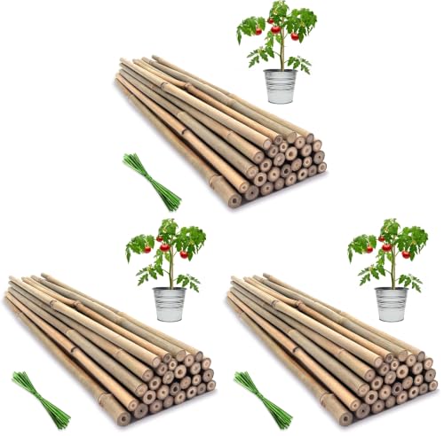 Plant Stakes,18 Inches Natural Garden Bamboo Sticks,BOVITRO 20Pcs Plant Support Stakes for Tomatoes,Beans,Vegetable and Potted Plants (Pack of 3) - size: 18 Inches, Pack of 20 (Pack of 3)