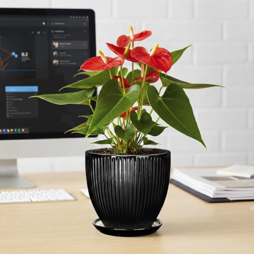 6 Inch Ceramic Planter, Indoor Plant Pots with Saucer, Black - color: Black, size: 6 Inch