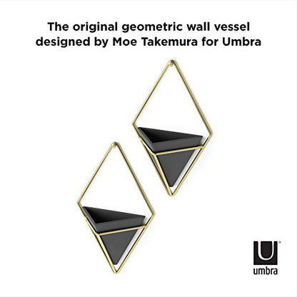 Umbra Trigg Hanging Planter for Small Plants, Set of 2, Small, Black/Brass - color: Black/Brass, size: Small