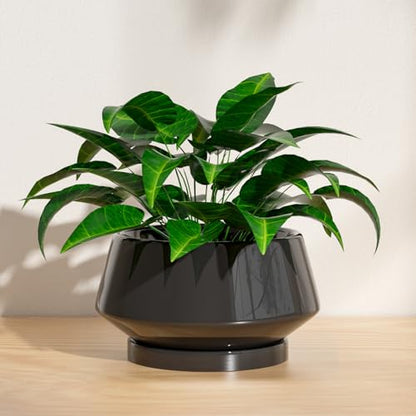 8.3 Inch Black Ceramic Planter with Drainage Hole and Saucer - color: Gloss Black, size: Medium