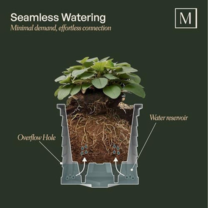 Mayne 5866-B Lakeland Square Patio Planter, 16x16, Black - color: Black, size: 16 in