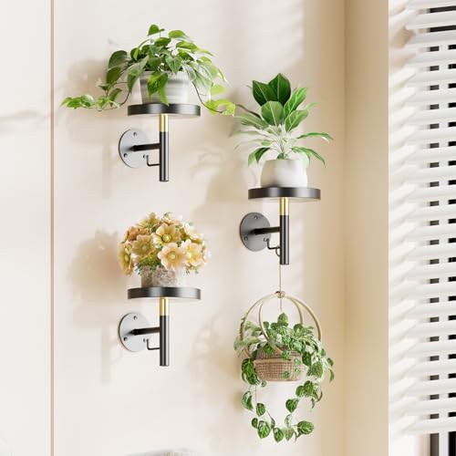 YUOROS 3 Pack Wall Plant Holder Wall Planters for Indoor Plants (Black) - color: Black
