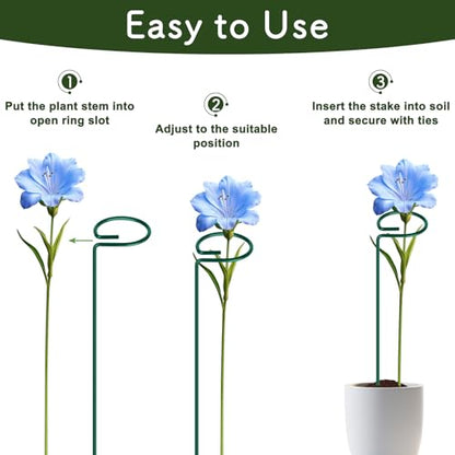 FEED GARDEN 24 Inch 12 Pack Plant Support Stakes, Metal Garden Flower Stakes and Supports for Outdoor Plants, Plant Stem Support with 24 Twist Ties for Amaryllis Lily Rose Peony Tomatoes Gladiolus - size: 24 Inch