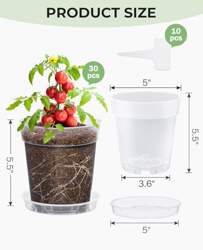 homenote 5 Inch Clear Nursery Pots 30 Pack with Drainage Holes and Saucers - size: 5 INCH