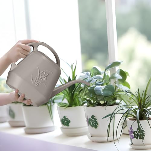 Hand Plastic Watering Can - Coffee Color - 1 Gallon - color: Coffee Color