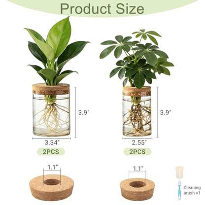 Dahey 4Pcs Glass Plant Propagation Station, 2 Large Vases & 2 Small Pots