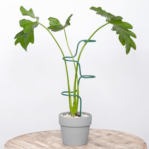 Plant Support Stakes - 3 Pack Durable Metal Trellis for Monstera - color: Green