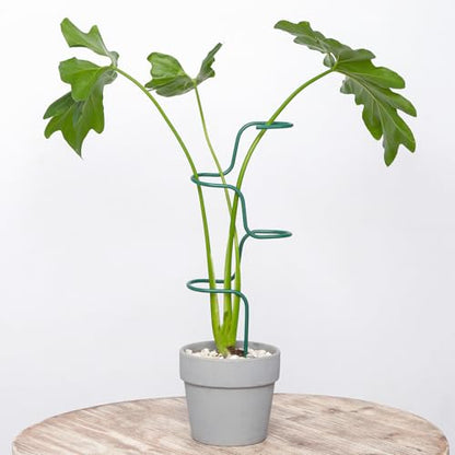Plant Support Stakes - 3 Pack Durable Metal Trellis for Monstera - color: Green