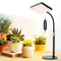 FECiDA Bonsai Grow Light, Table Grow Lights for Indoor Plants Collection - size: 1-Head Timer