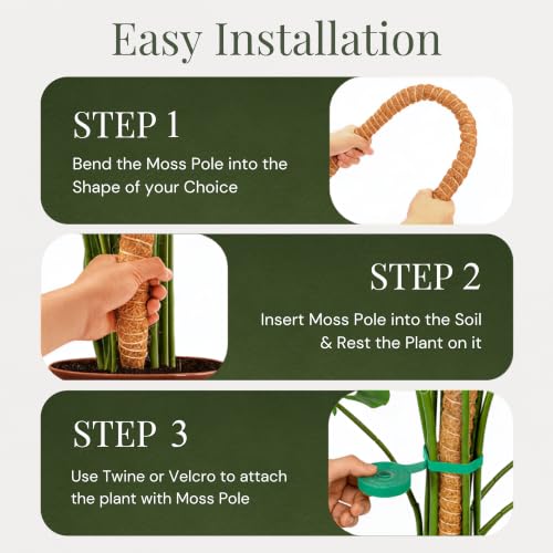 2 Pack 63" Moss Pole for Plants – Moss Pole Monstera Plant Support - size: 2-Pack (63'')