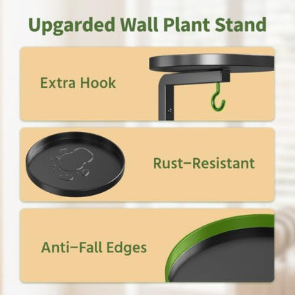 LASZOLA Plant Hanger Holder Wall Indoor with Macrame Hangers, 2 Pcs Black - color: Deep Black, size: 2