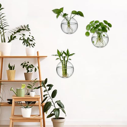 8PCS Wall Mounted Vase, Glass Wall Vase Propagation Wallmount Hanging Planters for Hydroponics with Traceless Nails for Home Office Living Room