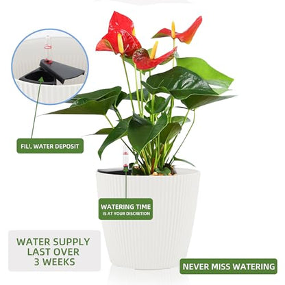 Dexceder 11x10 Self Watering Planters Indoor (2 Pack, White) - color: White, size: 11x10