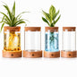 Junkin 4 Pack Plant Propagation Station with 7 Colors Adjustable LED Light