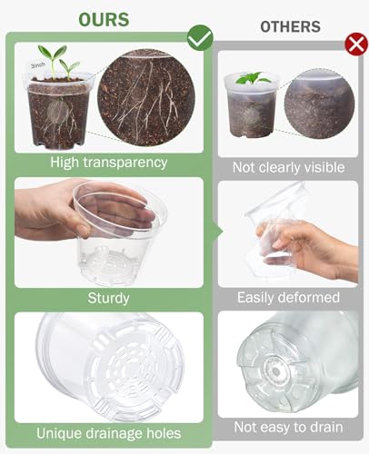 homenote 3/4/5 Inch Clear Nursery Pots with Domes for Propagation (15 Pcs) - color: Transparency-with Lid, size: 3/4/5 Inch-15 Pack