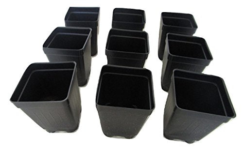 2.5" Square Extra Deep Landmark Nursery Pots - Press Fit (25)