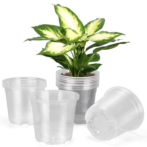 6 Inch Large Clear Nursery Pots with Drainage, 20 Pack Plastic Pots for Plants, Ideal Seedling Pots and Plant Pots for Vegetables, Orchids, Aloe, Indoor Outdoor Use (6 inch-20 Pack) - size: 6 inch