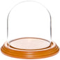 Plymor 4" x 4" Glass Display Dome Cloche (Oak Veneer Base) - color: Oak Veneer Base