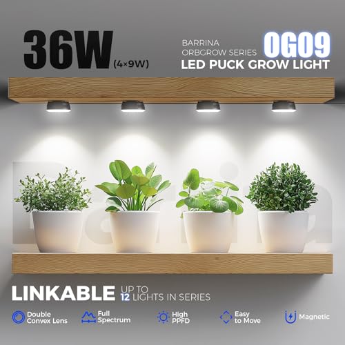 Barrina Orbgrow OG09 Puck Grow Light, 36W(4 x 9W), 5000K, 4 Packs, Black - color: 5000K-Black Cover, size: 4 Packs without Timer