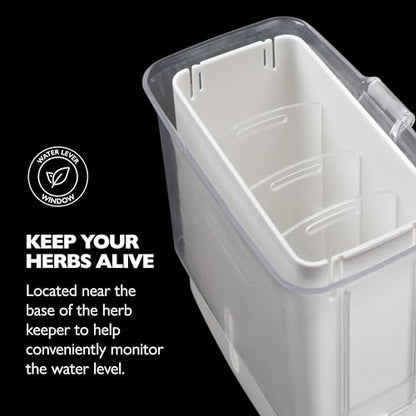 Cole & Mason Fresh Herb Keeper - Acrylic Storage Container for Refrigerator - Storage for Herbs & Vegetables for Fridge - Fresh Herb Keeper - size: Fresh Herb Keeper